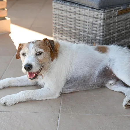 Yari-dog Friendly, Private Jaccuzzi&sauna,shared Infinity Pool, Sea View Holiday home